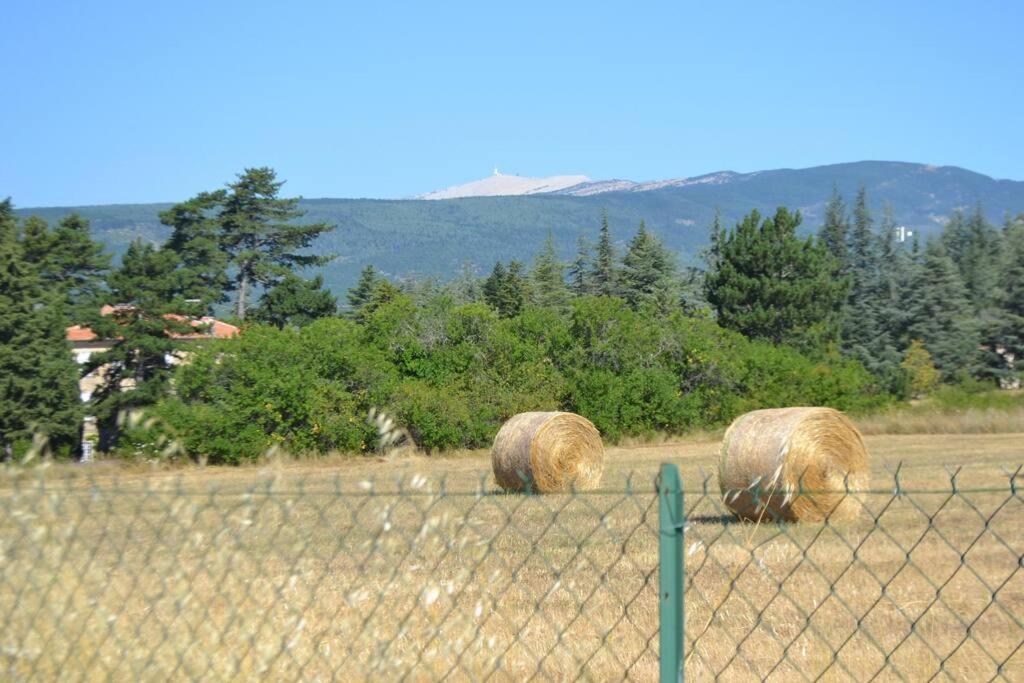 Les Fadas Du Ventoux Sault-de-Vaucluse Esterno foto